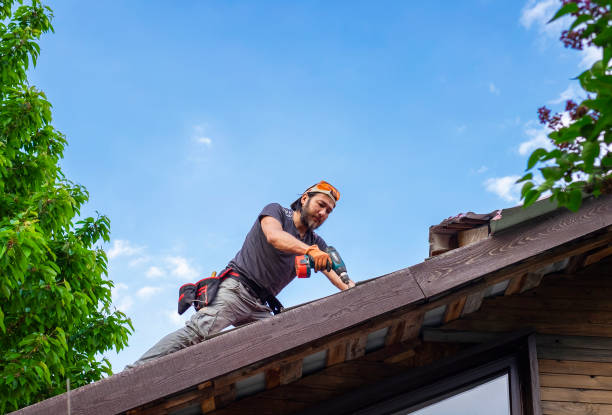 Best Roof Moss and Algae Removal  in Senoia, GA